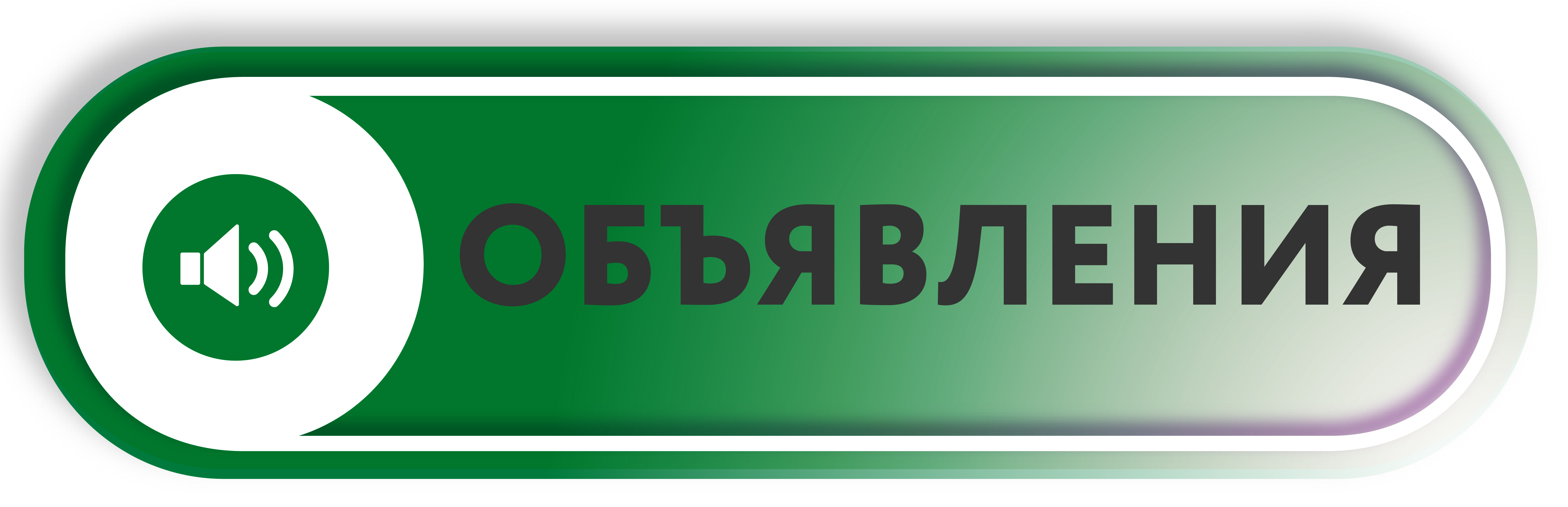 Московское долголетие, ГБОУ ДО ЦРТДЮ 